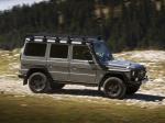 Mercedes-Benz G300 CDI Professional 2010 года